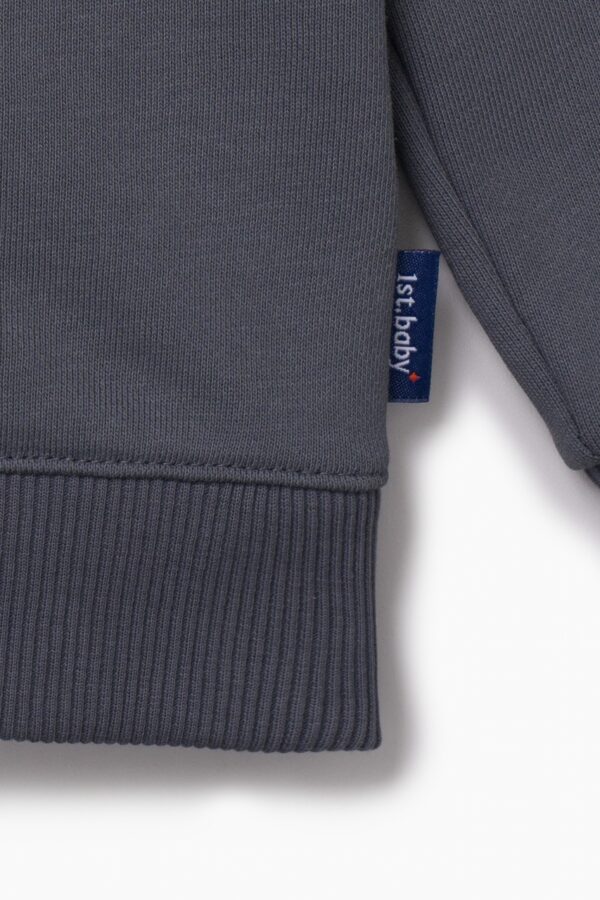 Худи. Графит с динозавром 