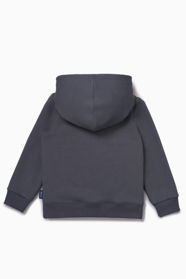 Худи. Графит с динозавром 