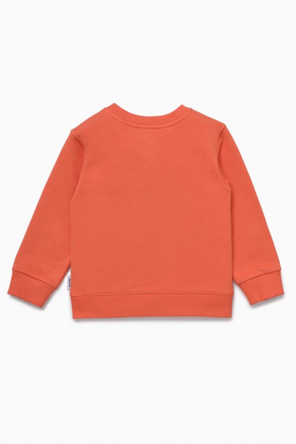 Свитшот. Гавайский закат с динозавром 