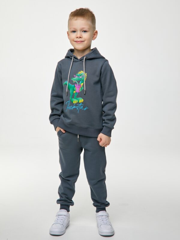 Худи. Графит с динозавром 