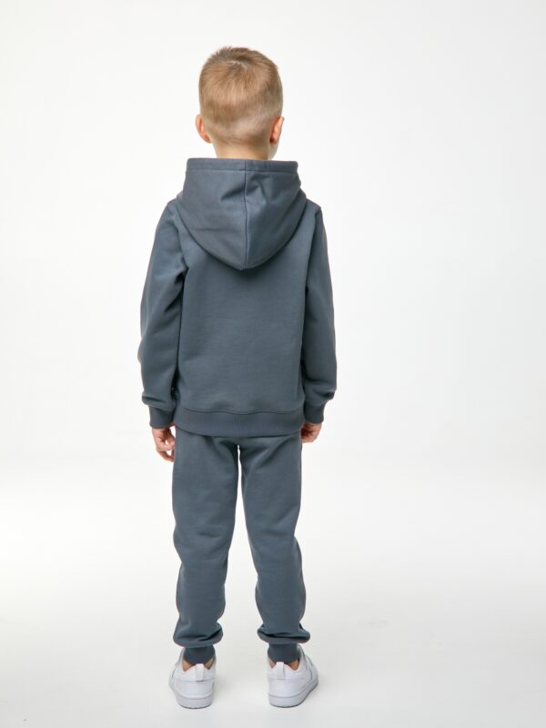 Худи. Графит с динозавром 