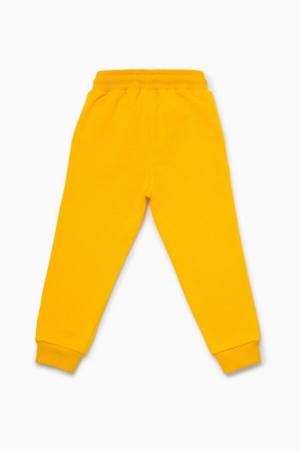 Брюки. Базовые манго