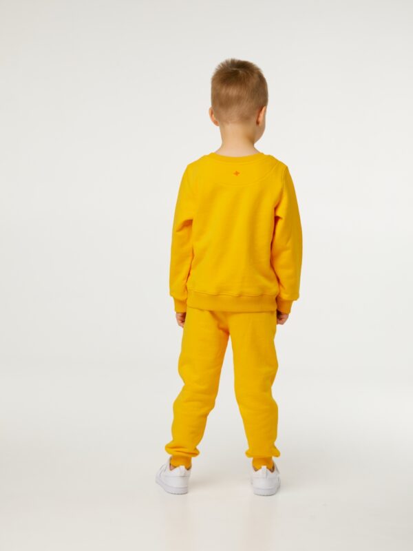 Брюки. Базовые манго