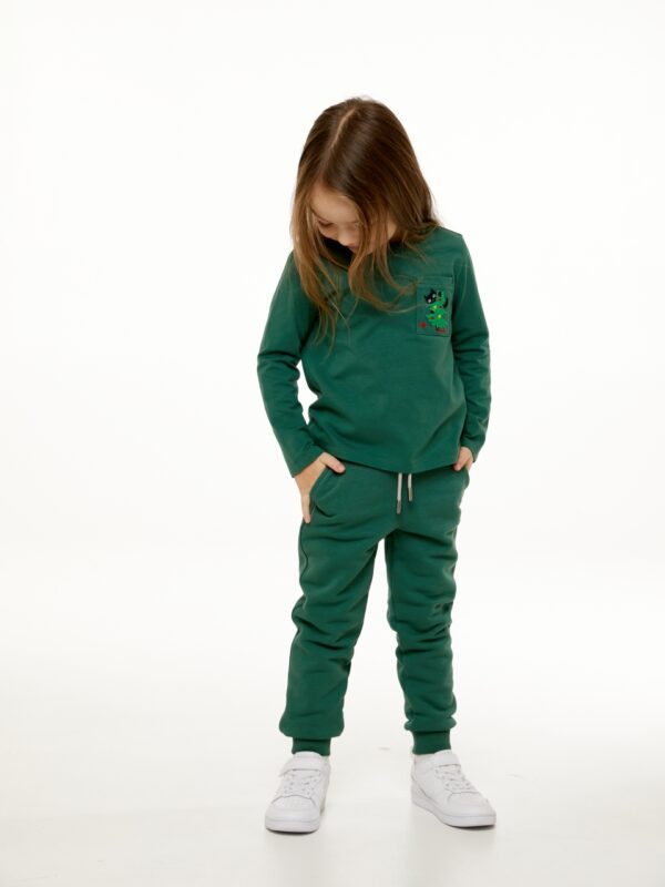 Брюки. Базовые тёмно-зелёные