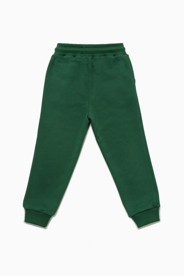 Брюки. Базовые тёмно-зелёные