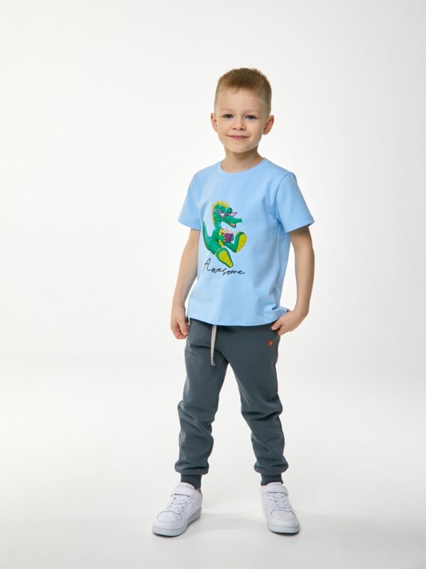 Футболка. Голубая с динозавром 