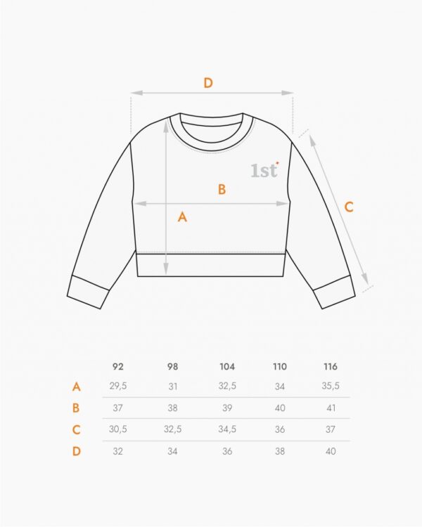 Свитшот. Укороченный графит 