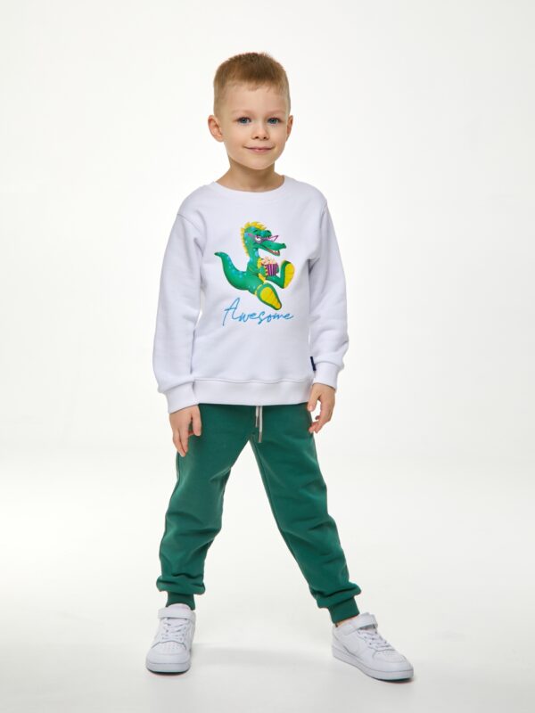 Свитшот. Белый с динозавром 