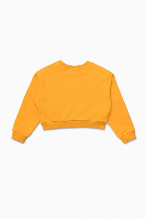 Свитшот. Укороченный манго 