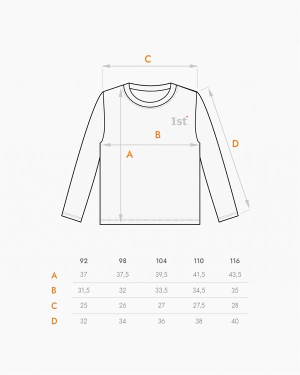 Лонгслив. Базовый графит 