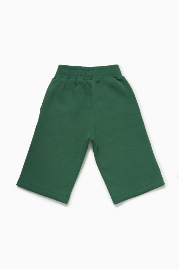 Бриджи. Базовые темно-зеленые 