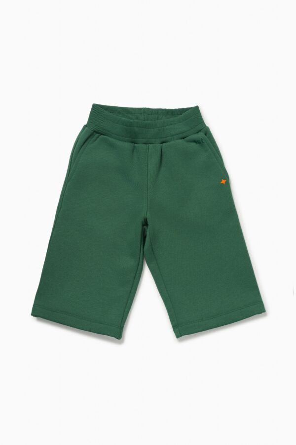 Бриджи. Базовые темно-зеленые 