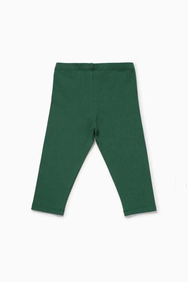 Бриджи. Базовые темно-зеленые 