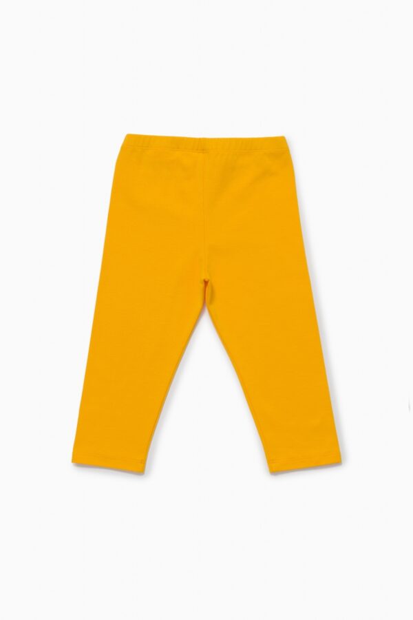 Бриджи. Базовые манго 