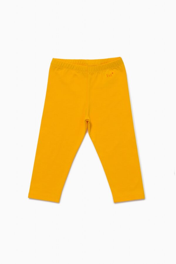 Бриджи. Базовые манго 