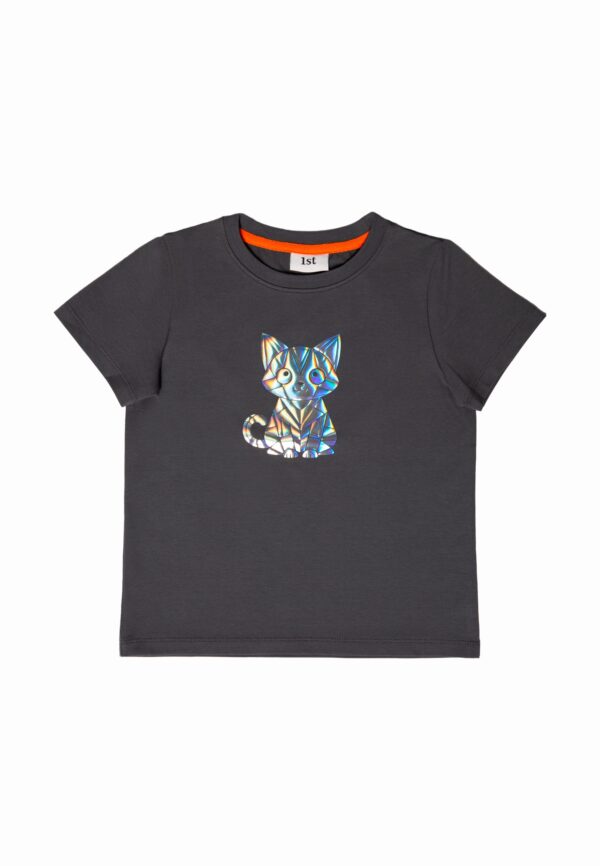 Футболка. Графит голография 