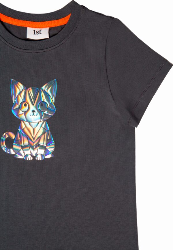 Футболка. Графит голография 