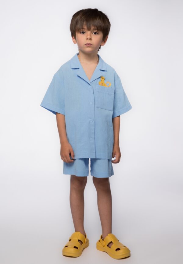 Шорты. Шорты летние