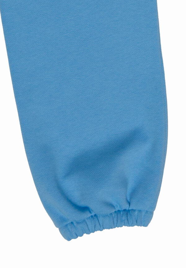 Брюки джоггеры 