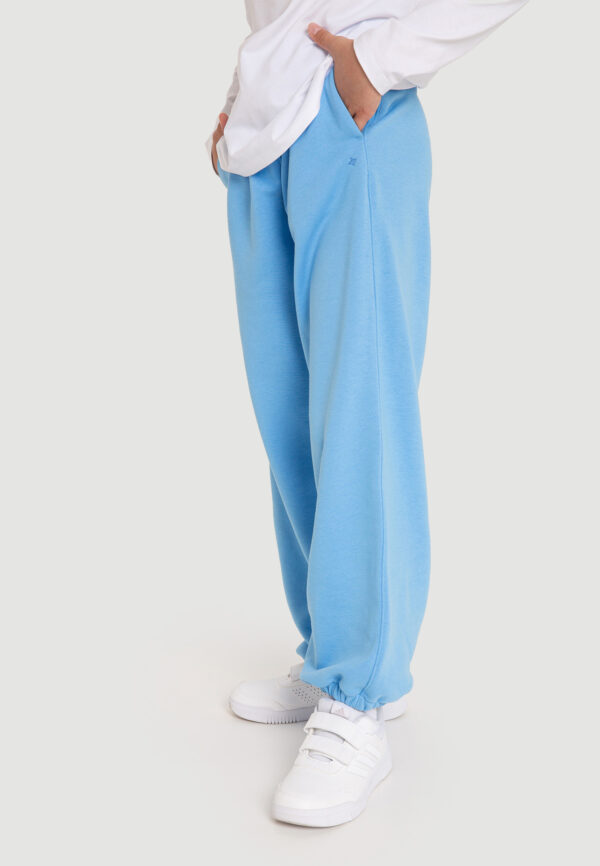 Брюки джоггеры "Sky"