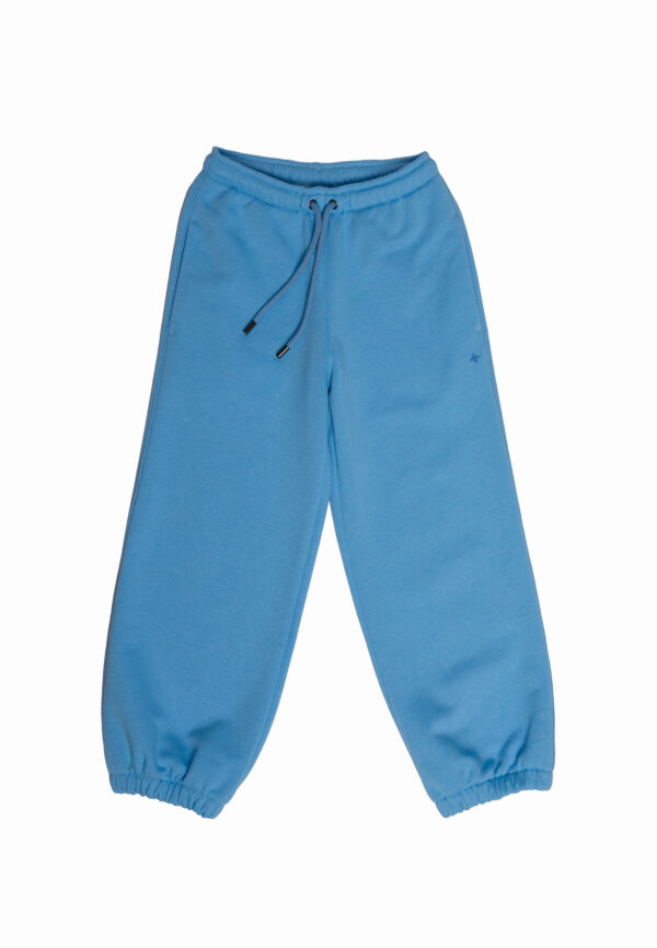 Брюки джоггеры 